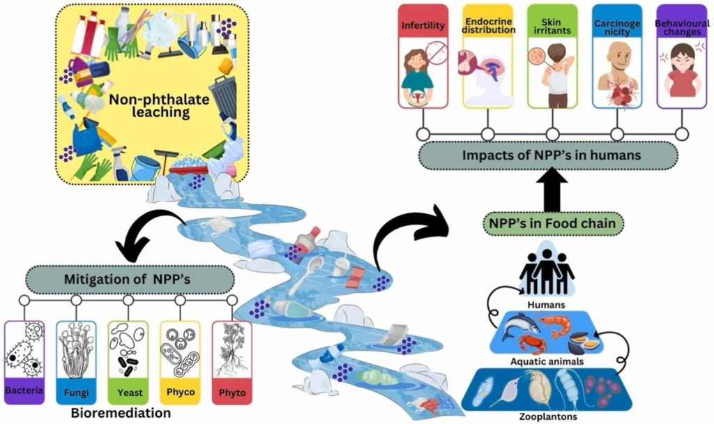 Emergence of Phthalate-Free Plasticizers